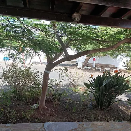 Casa Palmeral Mácher