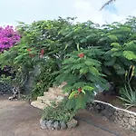 Willa Casa Palmeral *