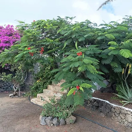 Villa Casa Palmeral *