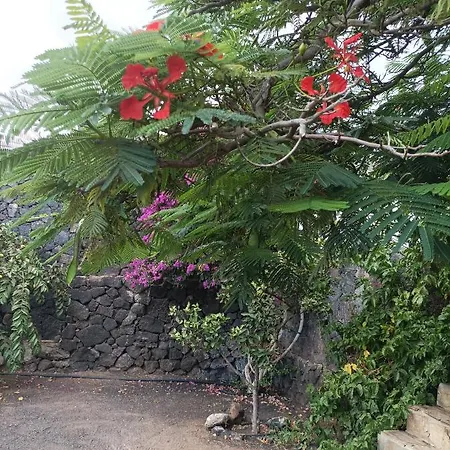 Casa Palmeral Mácher