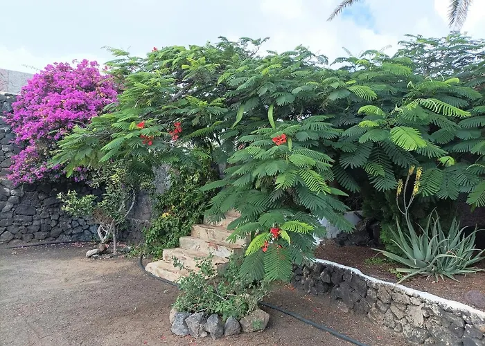 Villa Casa Palmeral *