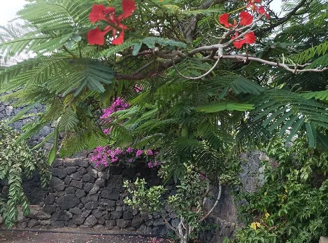 Casa Palmeral Macher